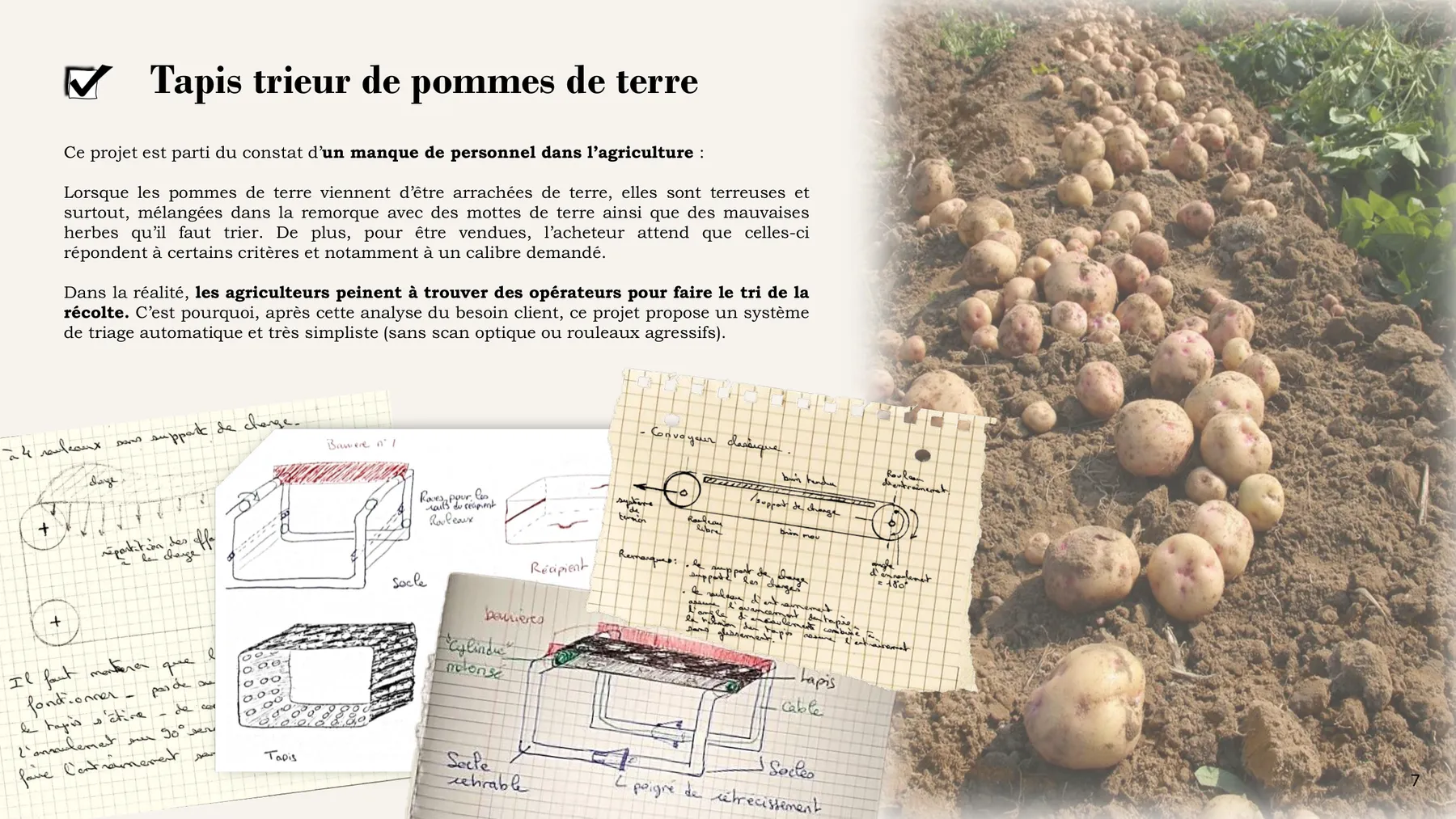 Planche 7 du portfolio — Tapis trieur de pommes de terre